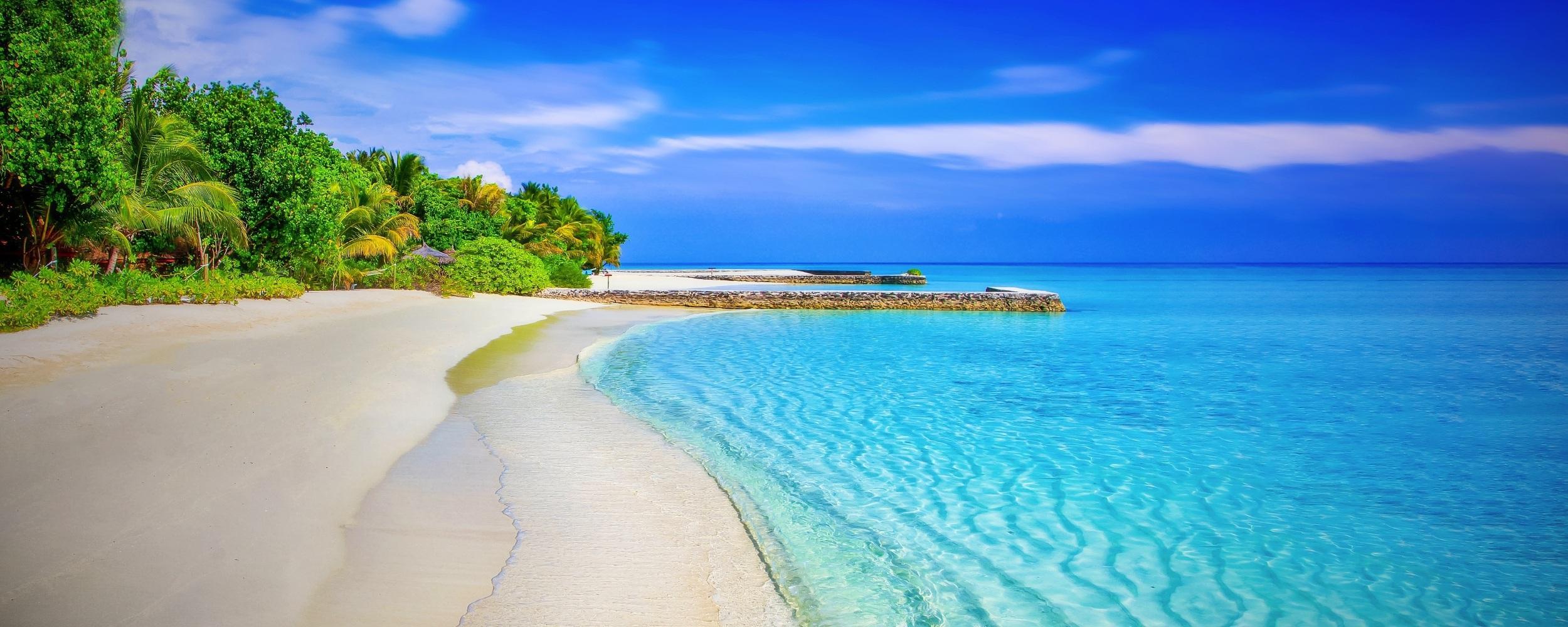 All Inclusive - background banner